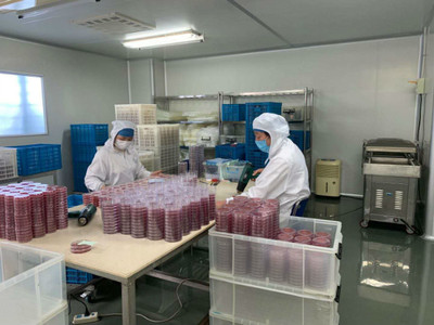 送政策、送口罩、幫復工 政府幫助虹口這家企業3天研制出病毒采樣管