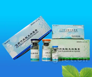 注射用鹽酸克林霉素全面解析 從功效、代理到市場準入信息